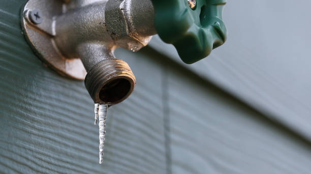 Best Plumbing Installation Services  in Tennessee Ridge, TN